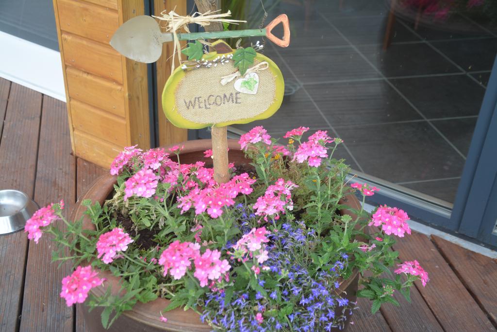Les Condamines Bed & Breakfast Antoingt Exterior photo